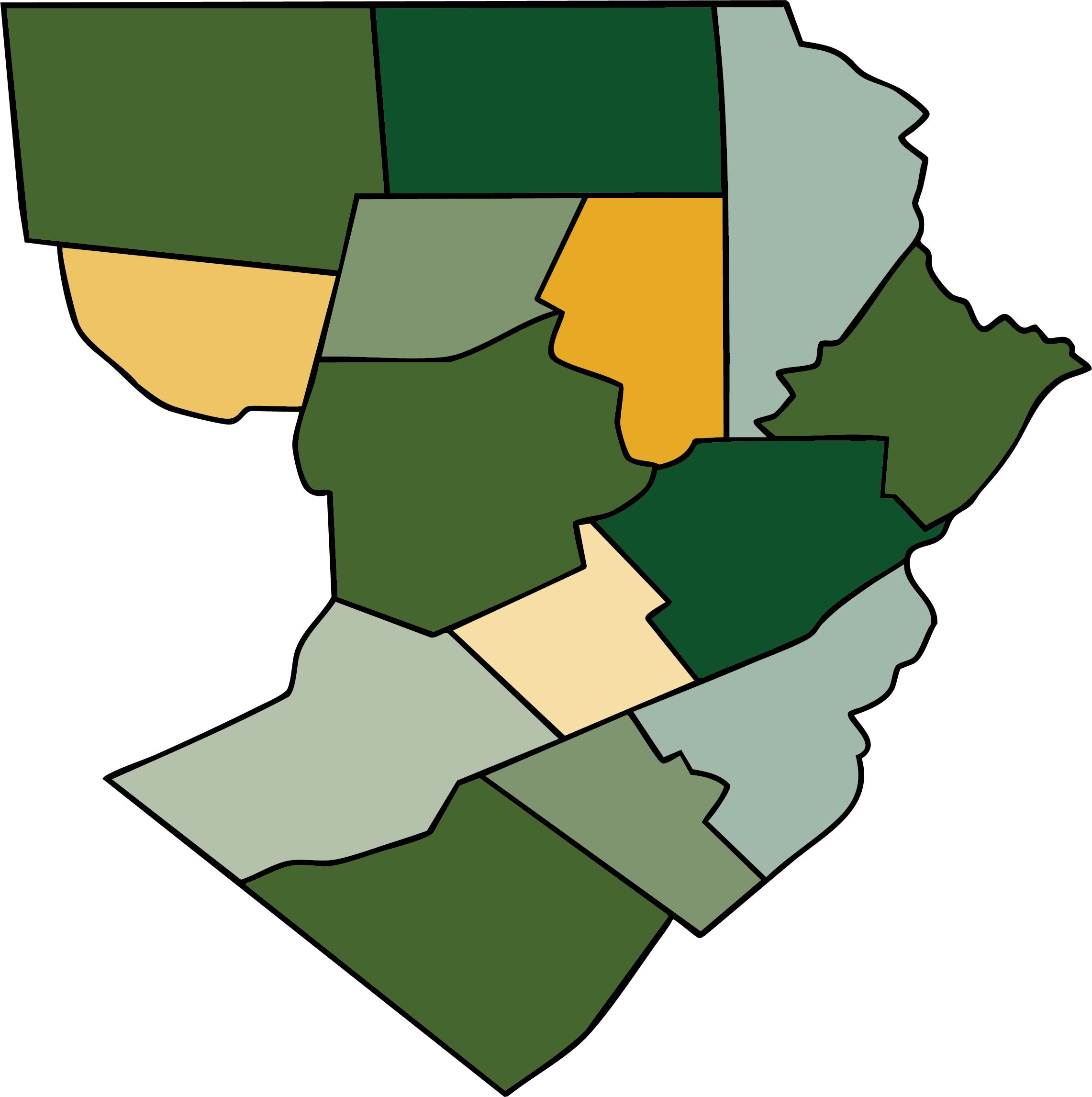 NEPA region outline (random coloring) NEPA region outline (random coloring)