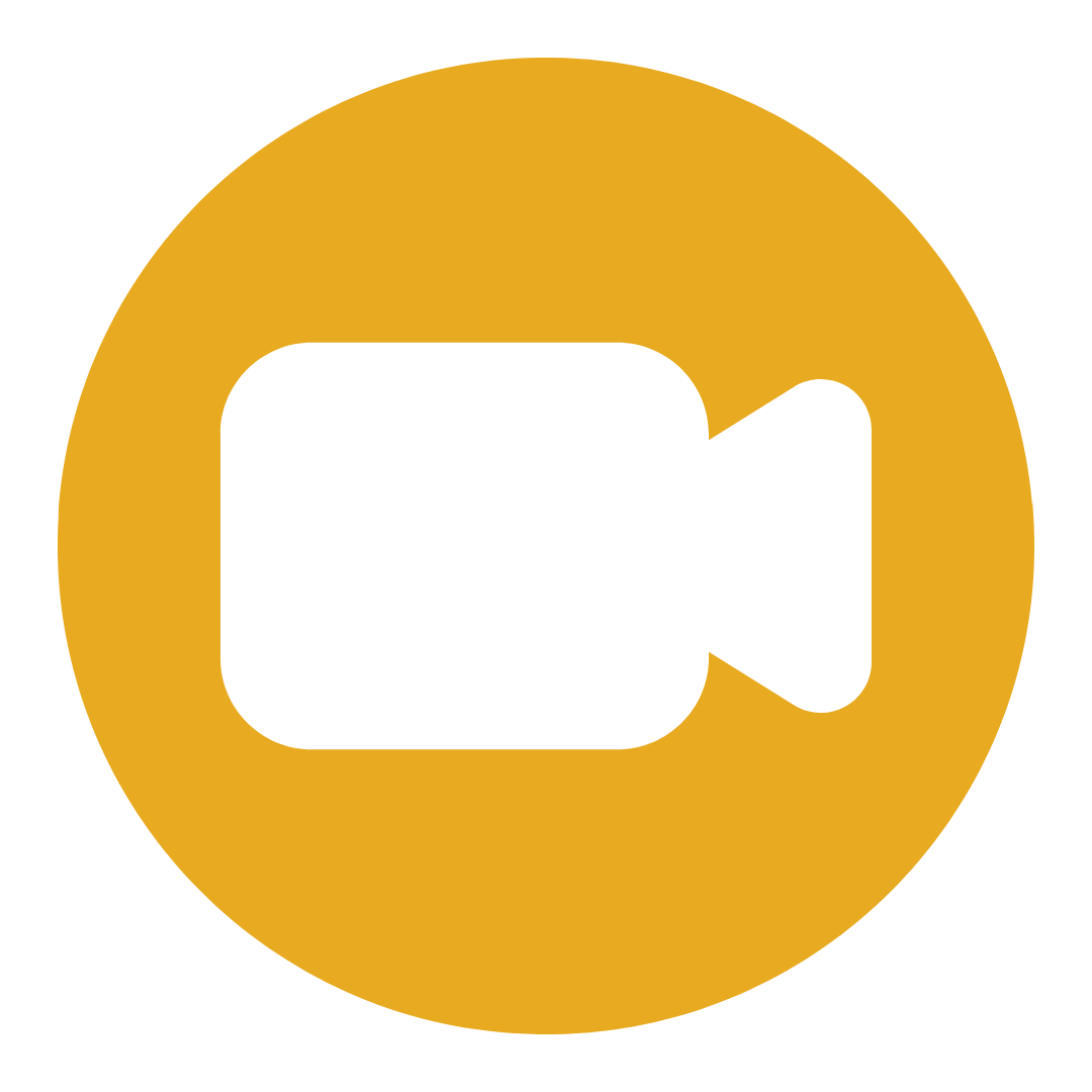 zoom icon